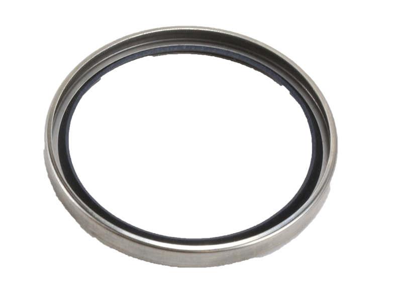 Thermostat seal